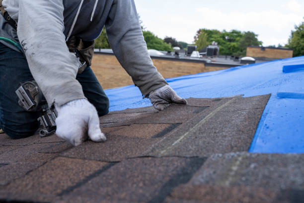 Best Flat Roof Repair Services  in Creedmoor, NC